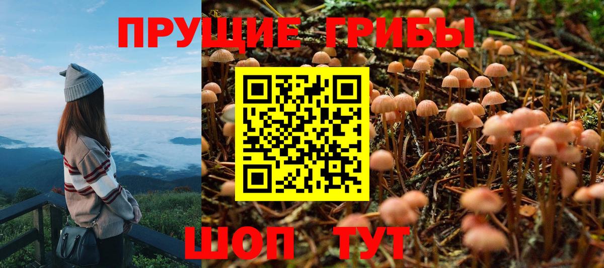 Псилоцибиновые грибы Cubensis  Псилоцибиновые грибы Psilocybine cubensis  Советский  Вход с VPN 